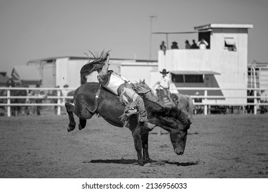 Cowboy rides a bucking horse in bareback bronc event at a country rodeo.