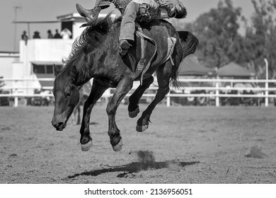 Cowboy rides a bucking horse in bareback bronc event at a country rodeo.