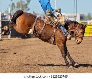 A cowboy riding a bucking bronco horse in a competition at a country rodeo