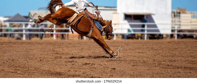 A cowboy riding a bucking bronco horse at an Australian country rodeo