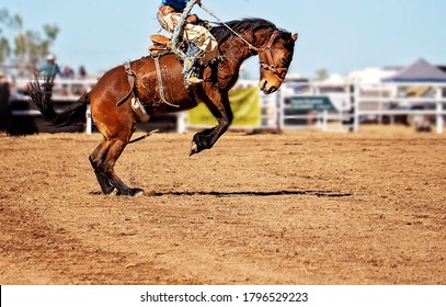 A cowboy riding a bucking bronco horse at an Australian country rodeo