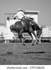 A cowboy riding a bucking bronco horse at an Australian country rodeo