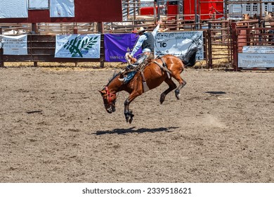 A cowboy is riding a bucking bronco at a rodeo in an arena. The horse has all four legs off the ground. The cowboy is wearing blue with a black vest. They are in front of a gate and signs.