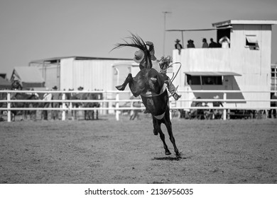 Cowboy riding a bucking horse in bareback bronc event at a country rodeo.