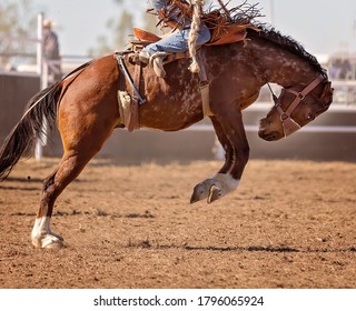 Cowboy riding bucking horse at country rodeo