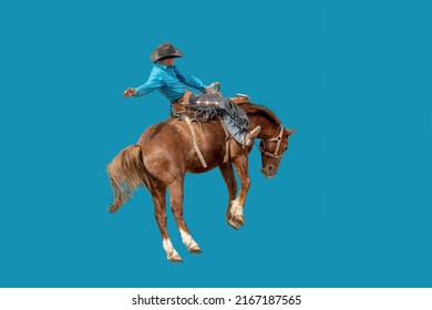 Cowboy riding a bucking horse isolated onto a blue background Australia