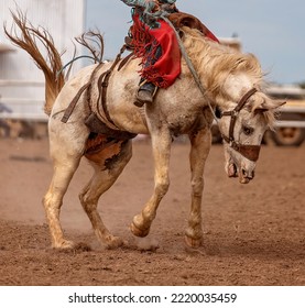 Cowboy riding a bucking saddle bronc at a country rodeo Australia