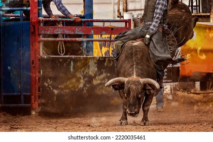 Cowboy riding a bucking wild bull at an Australian country rodeo - Shutterstock ID 2220035461