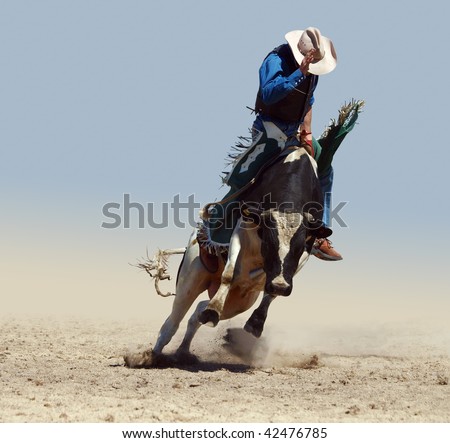 Cowboy Riding a Fresian Bull isolated with clipping path