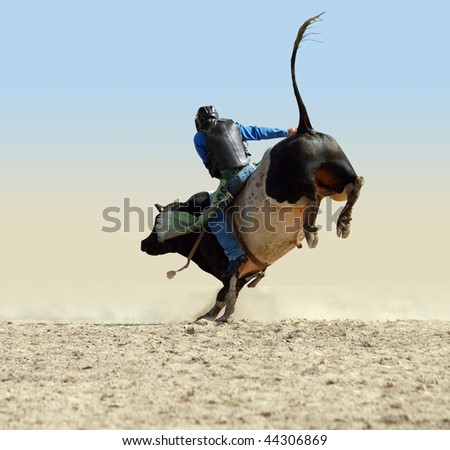 Cowboy Riding a Large Fresian Bull isolated with clipping path