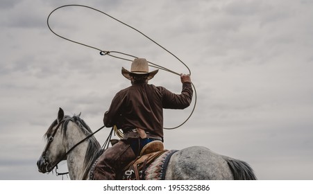 Cowboy roping on a grey horse
