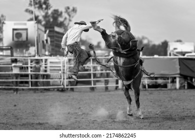 Cowboy thrown off a bucking bronc at country rodeo Australia