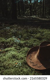 A Cowboy Western Hat Is Lying On Moss On A Sunny Day In The Forest.