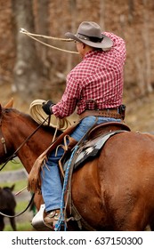 Cowboy In Western Wear On A Horse Roping A Calf