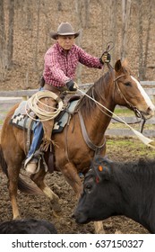 cowboy western wear