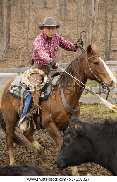 Cowboy Western Wear On Horse Roping 