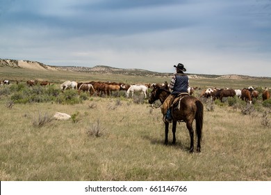 Cowboy Wrangler Ranch Hand On Horse Watching Over Horse Herd As They Graze On Prairie