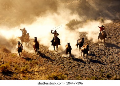 Cowboys chasing wilding horses. roping and riding, with dust flying everywhere