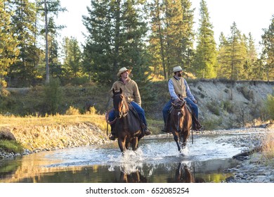 Cowboys And Horses Walking Through River, British Colombia, Canada, North America
