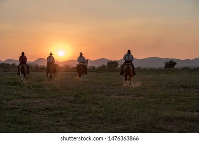 Cowboys are riding horses silhouette in sunset