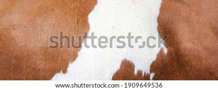 cowhide with abstract brown and white pattern on side of cow