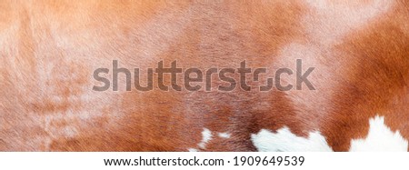 cowhide with abstract red and white pattern on side of cow
