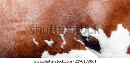 cowhide with abstract red and white pattern on side of cow