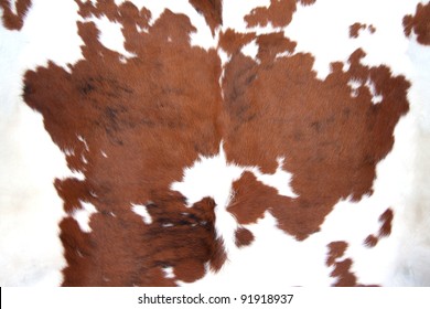 Cowhide For Use As A Background In Full Frame