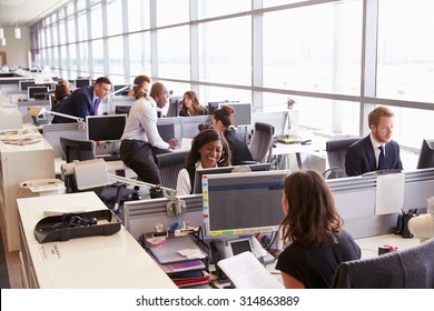 Coworkers at their desks in a busy, open plan office