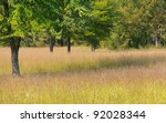 Cowpens National Battlefield Park, battlefield site