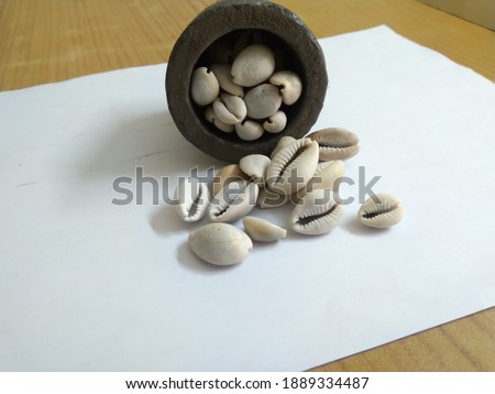 Cowrie or cowry shell, Shell of Monetaria moneta. In Ayurveda, Varatika is used as a powder obtained by calcination of cowries.