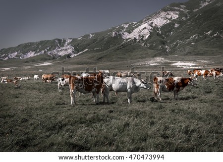 Similar – Image, Stock Photo cowboys Organic produce