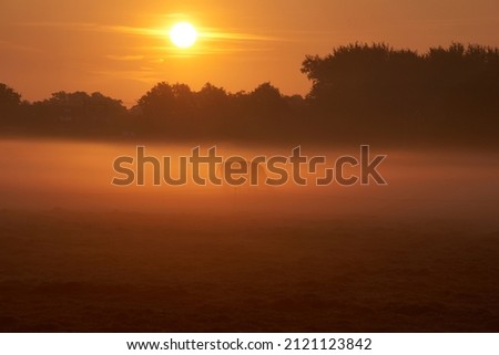 Similar – Image, Stock Photo Foggy winter morning at Lake Yellowstone in the Yellowstone National Park, Wyoming