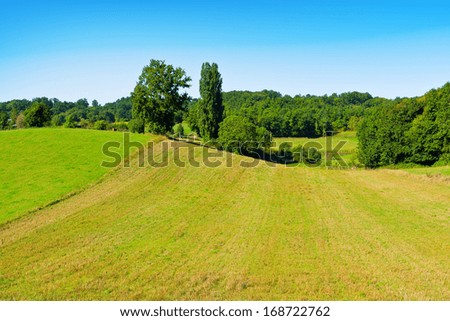 Similar – Foto Bild Kuh auf Almwiese in Österreich