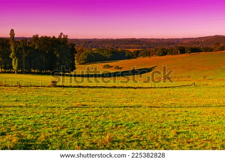 Similar – Foto Bild Kuh auf Almwiese in Österreich