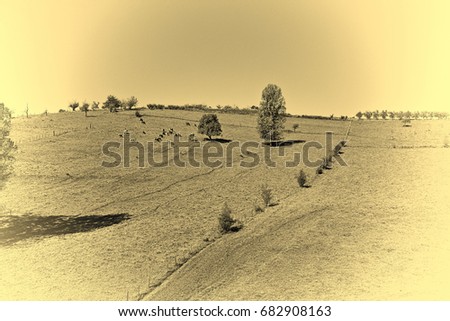 Similar – Foto Bild Kuh auf Almwiese in Österreich