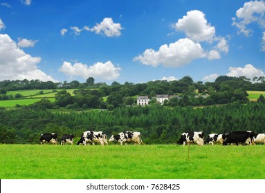 Paysage Campagne Vache France Images Stock Photos Vectors Shutterstock