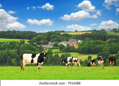 Paysage Campagne Vache France Images Stock Photos Vectors Shutterstock