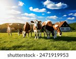 Cows grazing on a green summer meadow under blue clear sky