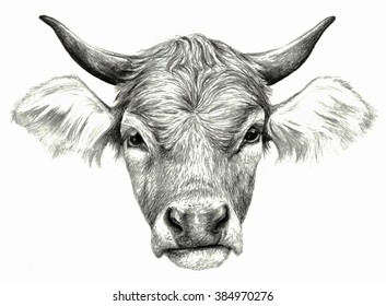 Cow Drawing Images, Stock Photos & Vectors | Shutterstock