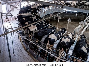 4,266 Automated milk Images, Stock Photos & Vectors | Shutterstock