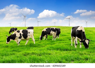 Cows on a green field with turbine and blue sky.