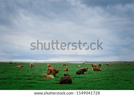 Similar – Image, Stock Photo cowboys Organic produce