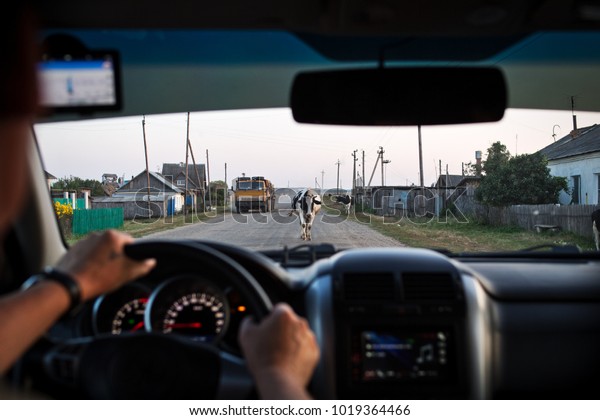 Cows and a truck on a village road. View\
through a windshield.