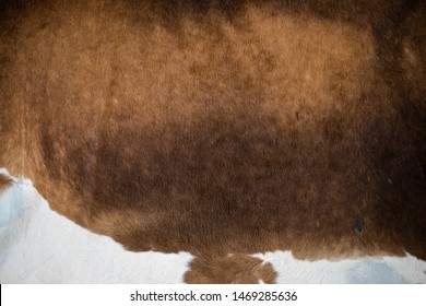 Cowskin Cowhide Background Texture Brown And White