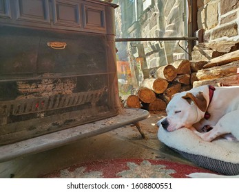 Cozied Up By The Fire.