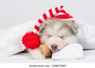 how many hours a day do malamutes sleep