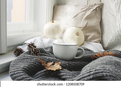 Cozy Autumn Morning Breakfast In Bed Still Life Scene. Steaming Cup Of Hot Coffee, Tea Standing Near Window. Fall, Thanksgiving Concept. White Pumpkins, Pine Cones And Oak Leaves On Wool Plaid. 