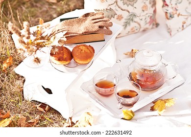 Cozy Autumn Picnic In The Park With Tea And Pillow