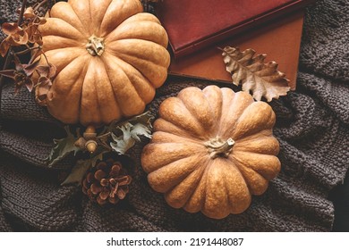 Cozy autumn still life with pumpkins, knitted woolen sweater and books on windowsill. Autumn home decor. Cozy fall mood. Autumn reading. Thanksgiving. Halloween. - Powered by Shutterstock